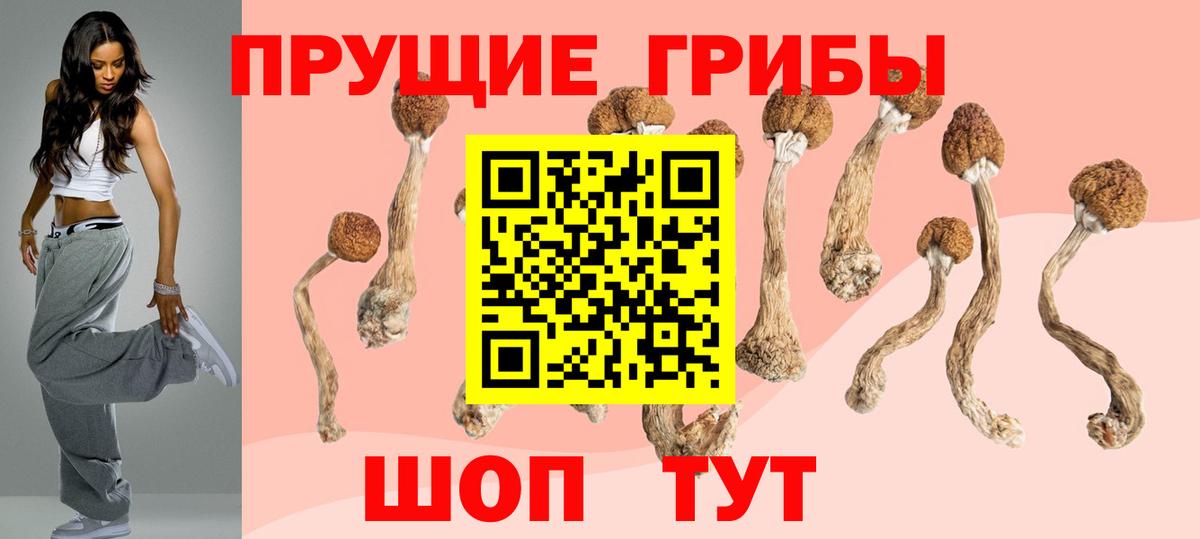 даркнет сайт  Галлюциногенные грибы ЛСД  Тутаев  Вход с VPN  Псилоцибиновые грибы ЛСД 